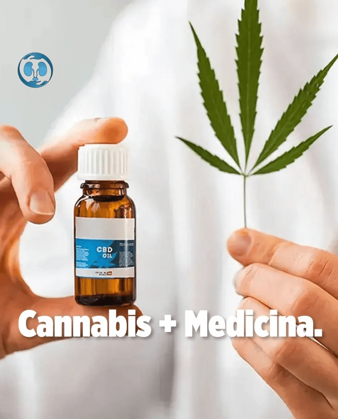 grafico de cannabis medicnal